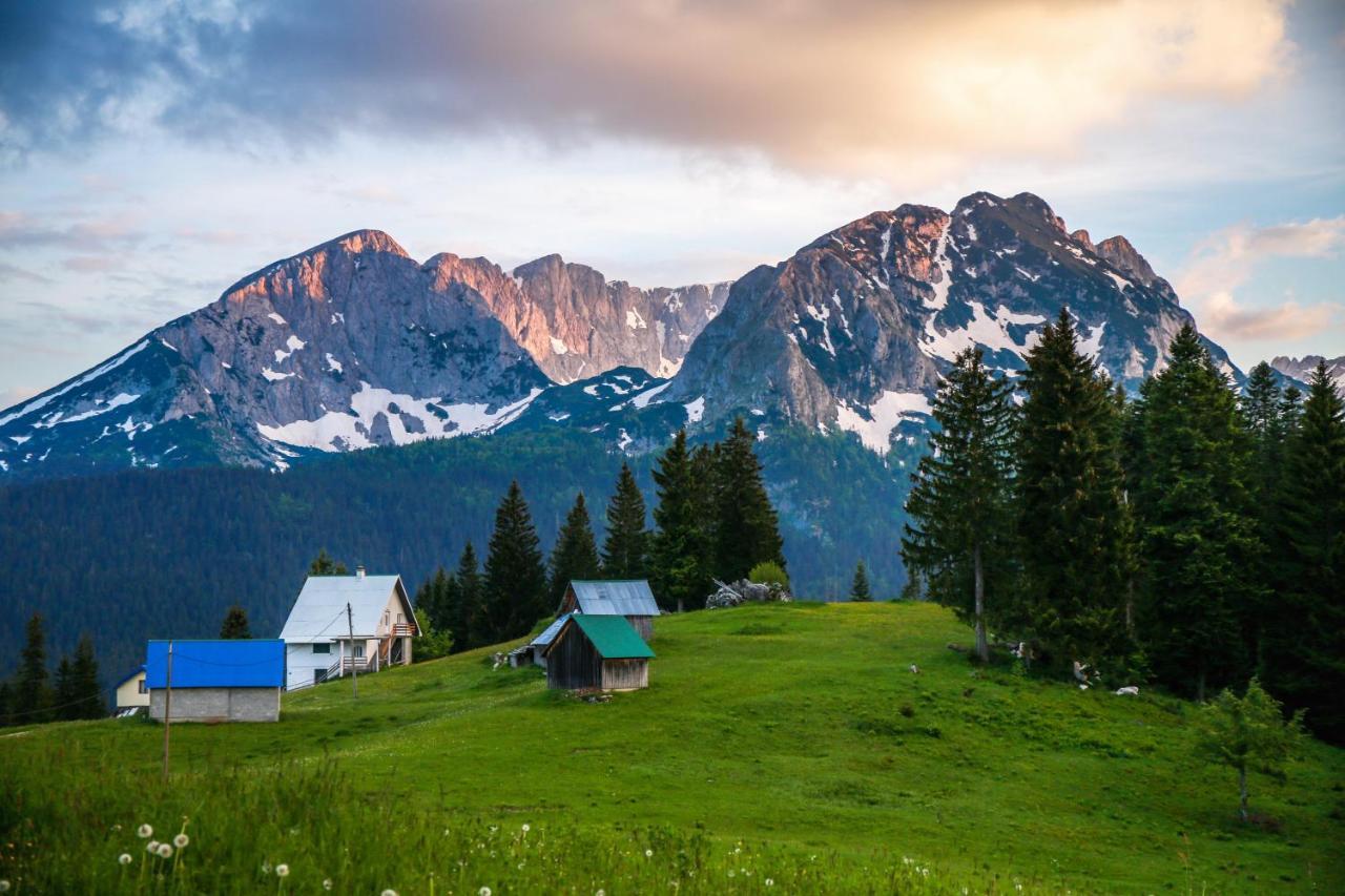 Bungalows Fairy Tale Žabljak Esterno foto
